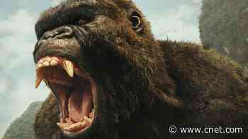 100 Men vs. 1 Gorilla Viral Question: Who Wins if It's King Kong?