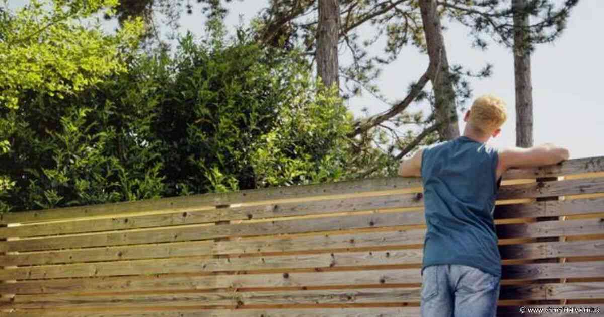 Common garden fence mistake can risk fines of up to £5,000 - and criminal record