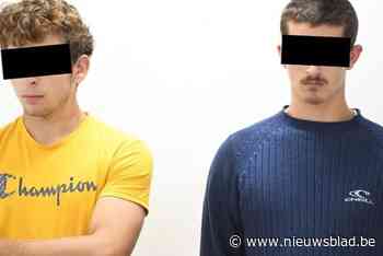 Kunnen David (19) en Seppe (18) terug naar huis of blijven ze in Keniaanse cel? Straks uitspraak in mierensmokkelproces