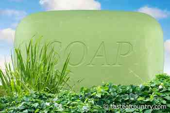 REVEALED: Why People Put Bars of Soap in Their Yards and Gardens