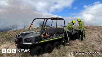 Fire came at worst time for wildlife, says charity