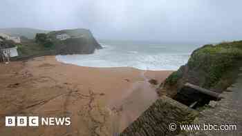 Woman died after falling from cliff on dog walk