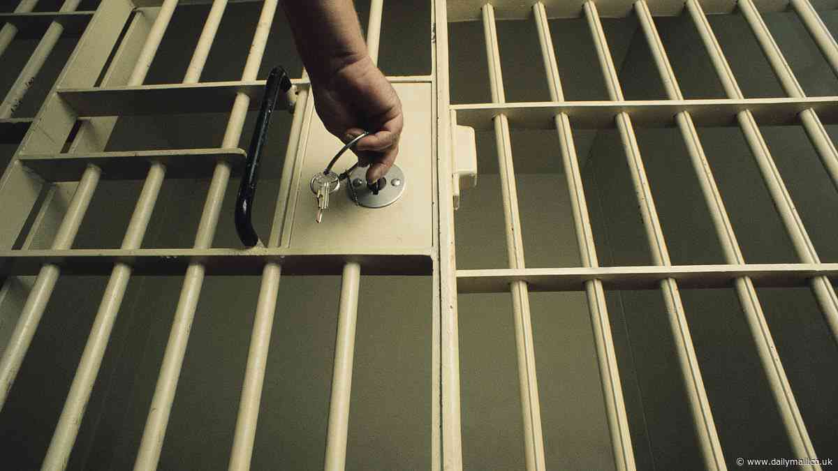 Build 53,000 new jail spaces to protect the public, report urges, as 'hyper prolific' offenders with more than 45 convictions are let off with a slap on the wrist