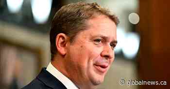 Conservatives elect Scheer as interim Opposition leader in House of Commons