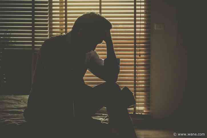 Providers see rising demand for mental health care in northeast Indiana