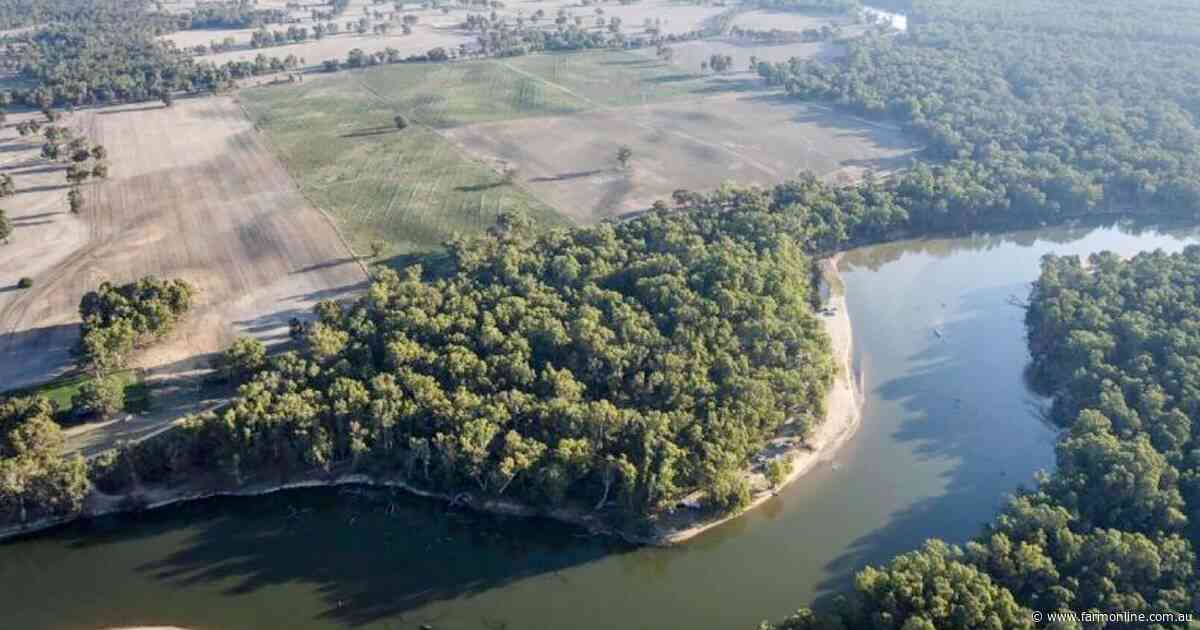 Iconic Ulupna Island Station hits sales market in Northern Victoria