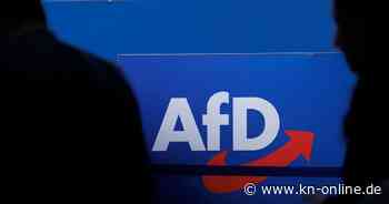 Experten diskutieren über Folgen der AfD-Hochstufung