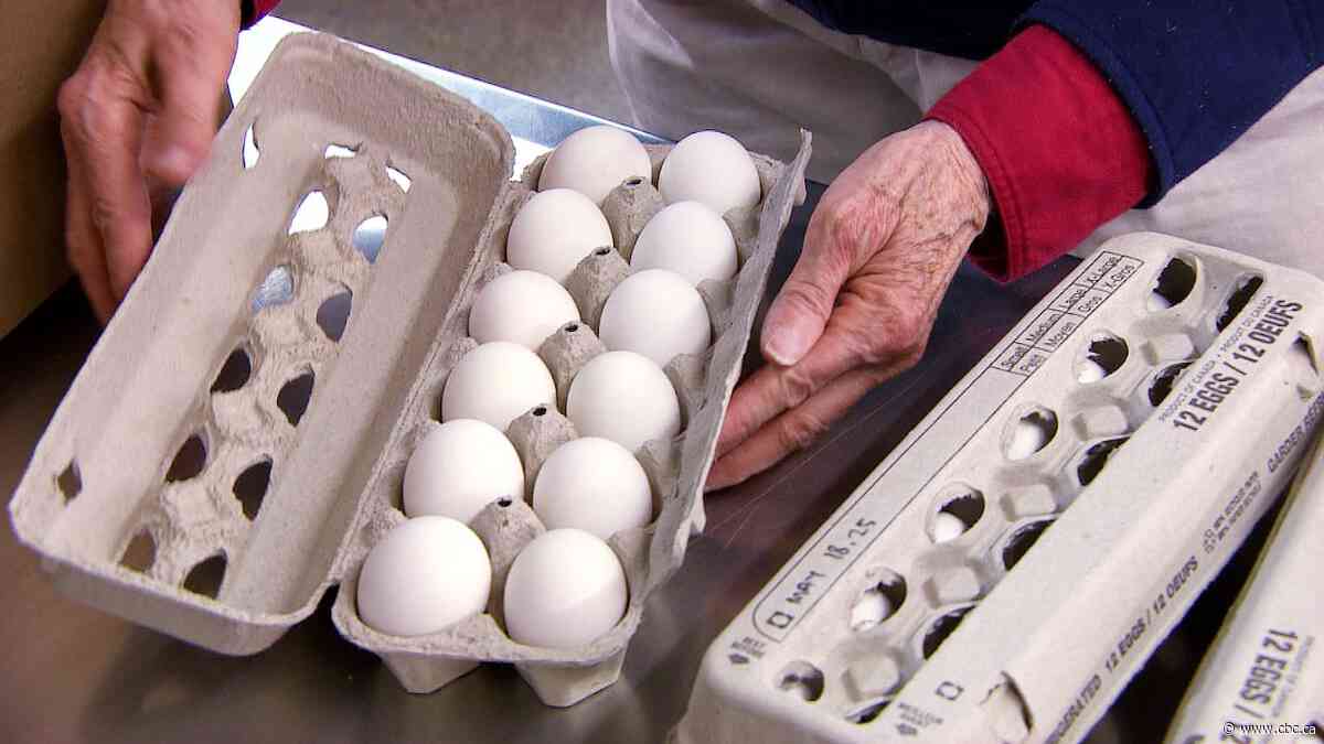 Egg farmers boosting monthly donation to Harvest Manitoba