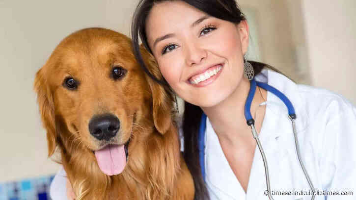 5 common health issues in popular dog breeds