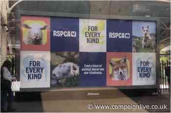 ASA clears RSPCA ad following investigation over withholding information about animal cruelty