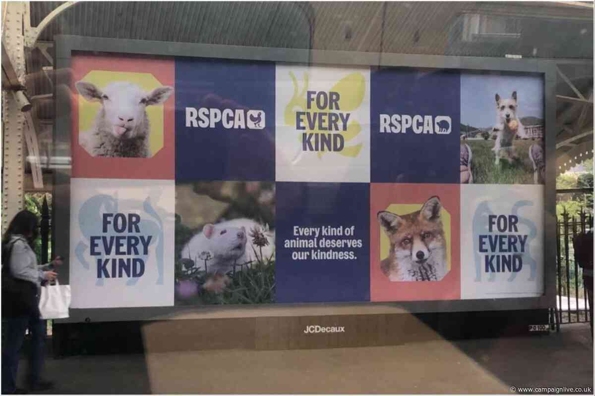 ASA clears RSPCA ad following investigation over withholding information about animal cruelty