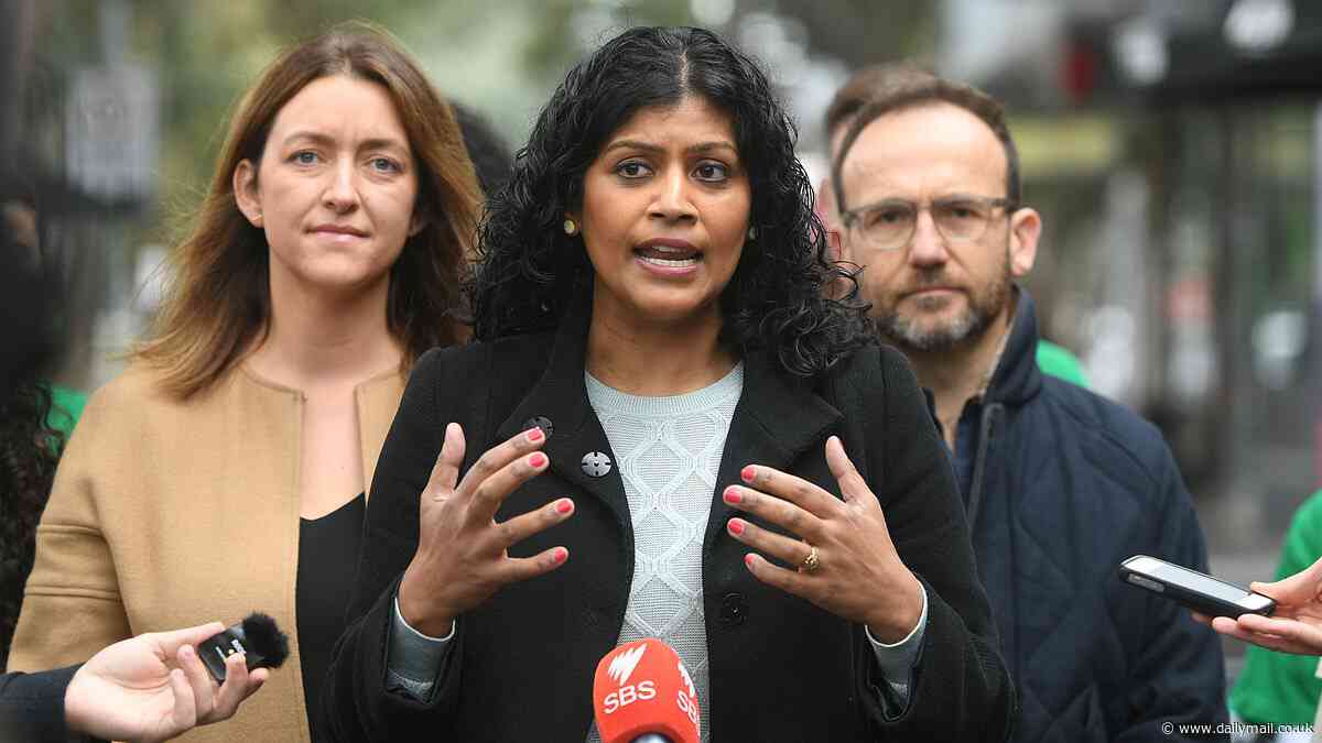 Greens candidate who wanted to deter Aussies from buying larger vehicles fails to win seat in parliament