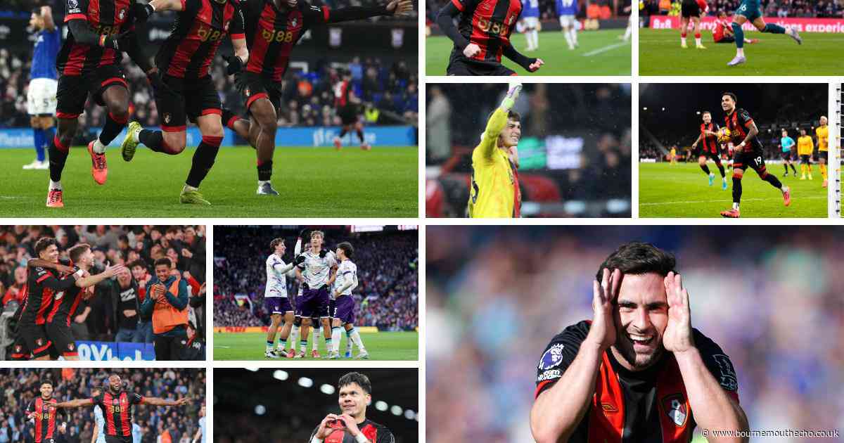 Voting for Micky Cave/Daily Echo AFC Bournemouth player of the year now OPEN!