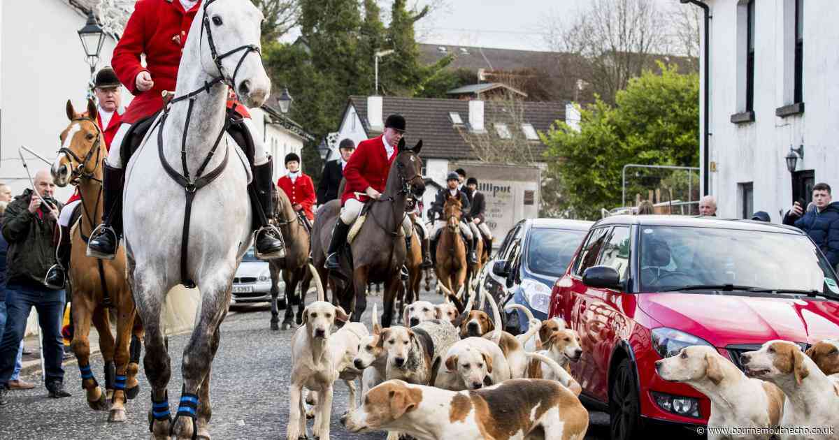 Poole MP says trail hunting is 'cover for fox hunting'