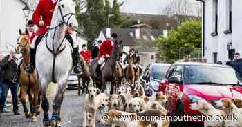 Poole MP says trail hunting is 'cover for fox hunting'