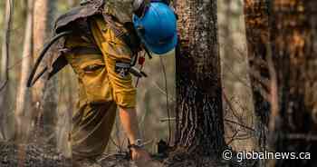 Wildfire prompts evacuation order in Athabasca County; Boyle put on alert