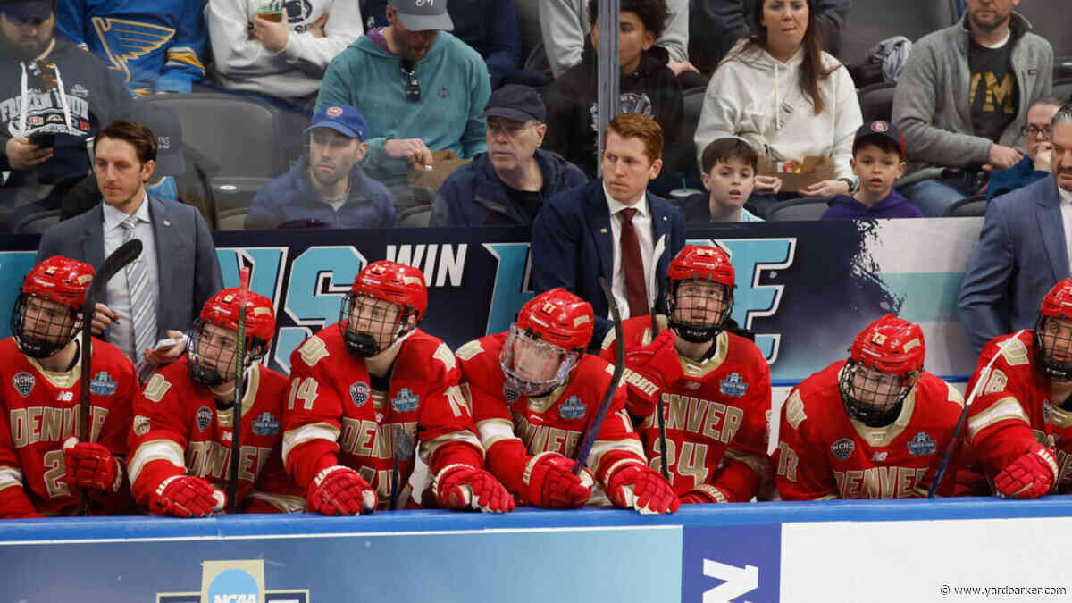 David Carle Made Right Decision by Forgoing NHL Coaching Gig