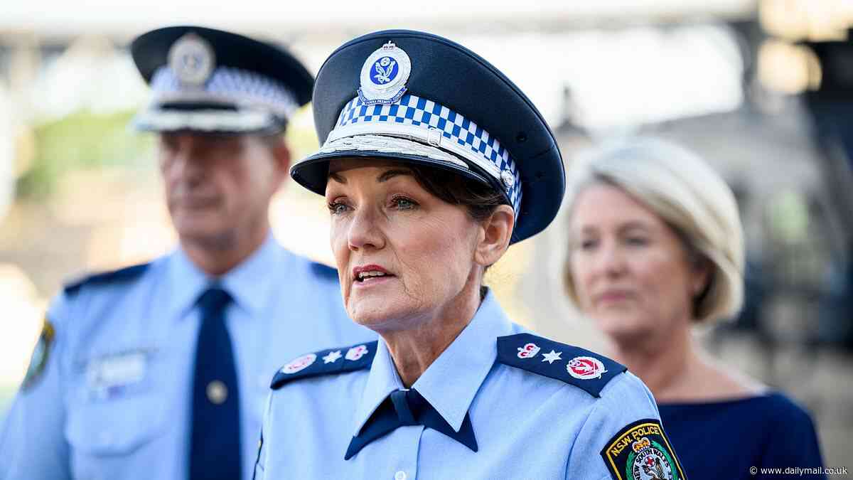 Karen Webb set to resign from NSW Police