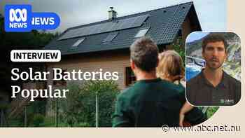 Labor's solar battery subsidy attracts demand among homeowners