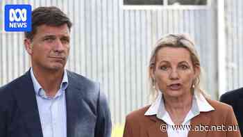 Liberal leadership race narrows to two likely contenders, Ley and Taylor