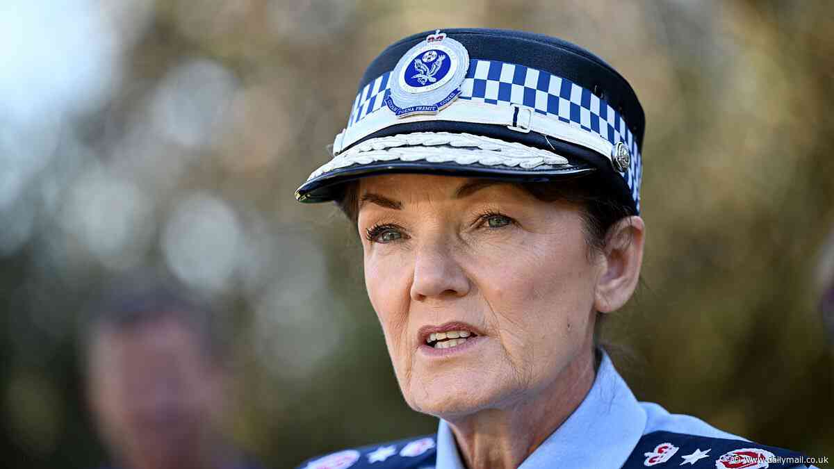 Karen Webb's huge payout after resigning from NSW Police