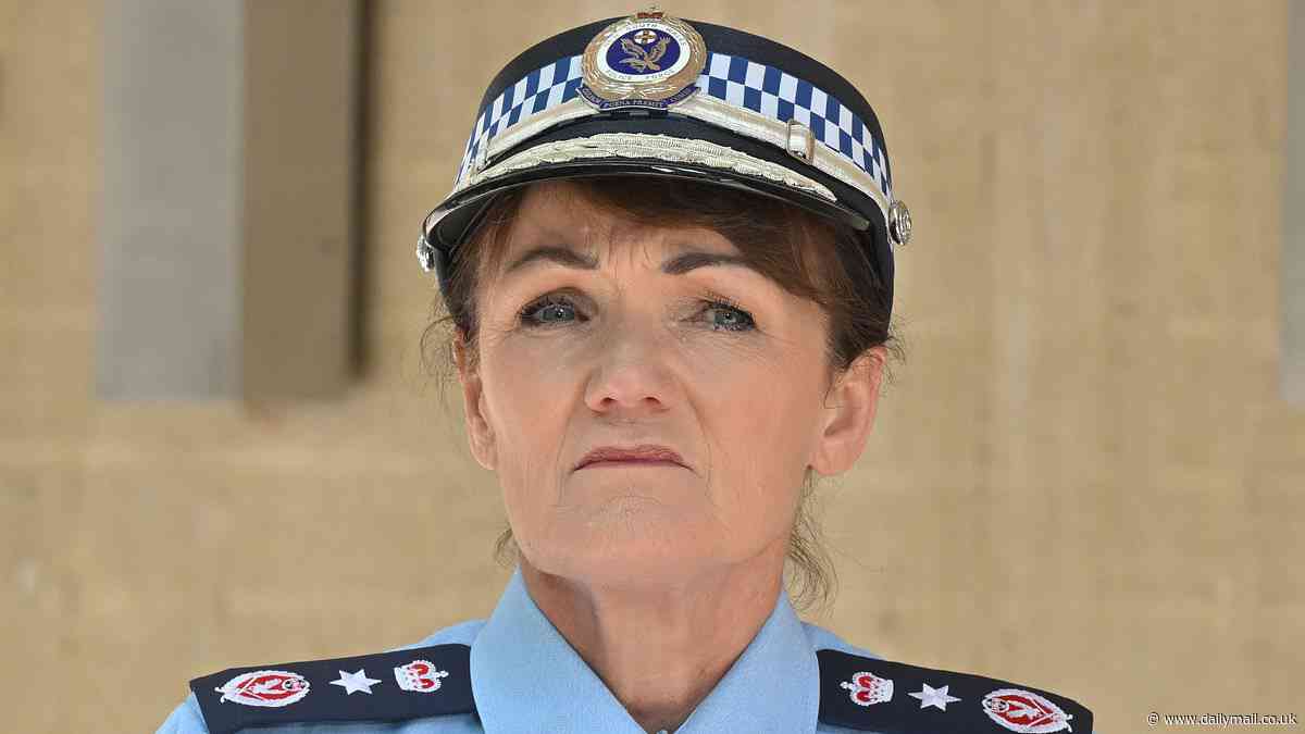 Karen Webb to resign from NSW Police