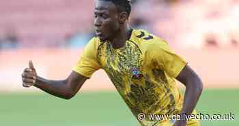 Promoted Leeds reportedly interested in signing former Saints winger Djenepo