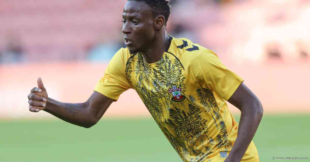 Promoted Leeds reportedly interested in signing former Saints winger Djenepo