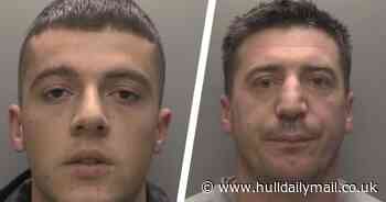 £268k cannabis factory discovered in Hull house