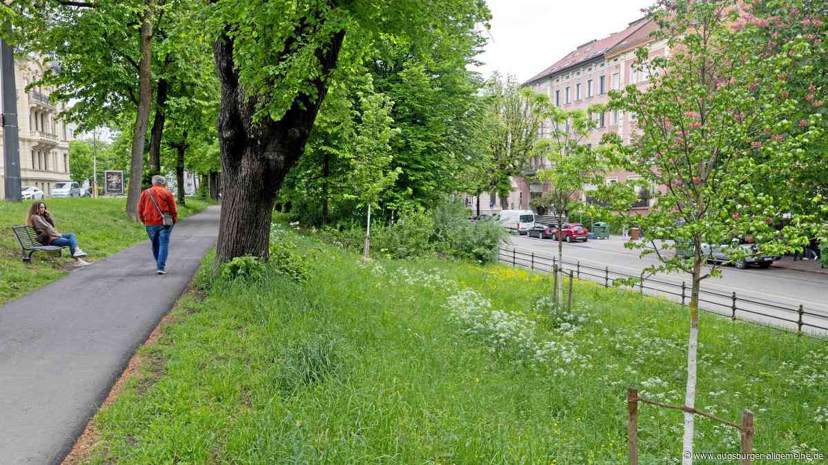 Positive Baumbilanz in Augsburg ist beachtlich, aber nicht nur eigenem Tun zu verdanken