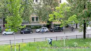 Baum-Boom in Augsburg: Es wurden 444 mehr Bäume gepflanzt als gefällt