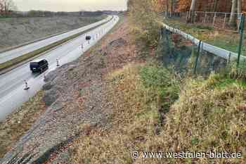 Abgerutschte Böschung an der A33 in Borgholzhausen