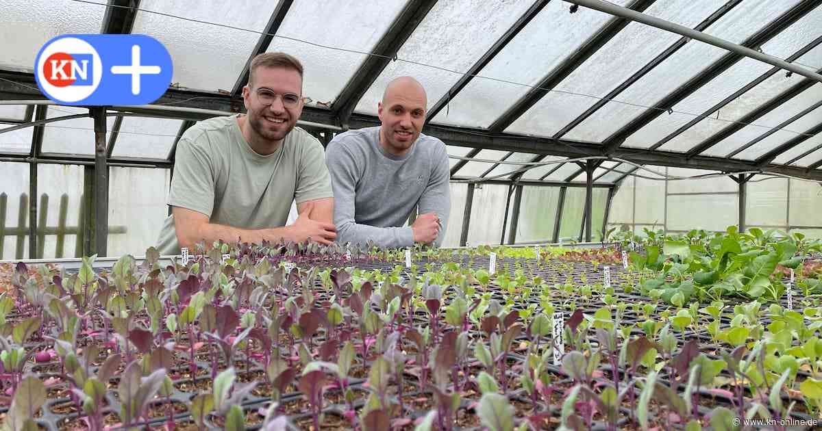Lentföhrden: Hof Möller setzt als Möllers Morgen auf Solawi und Agri-PV