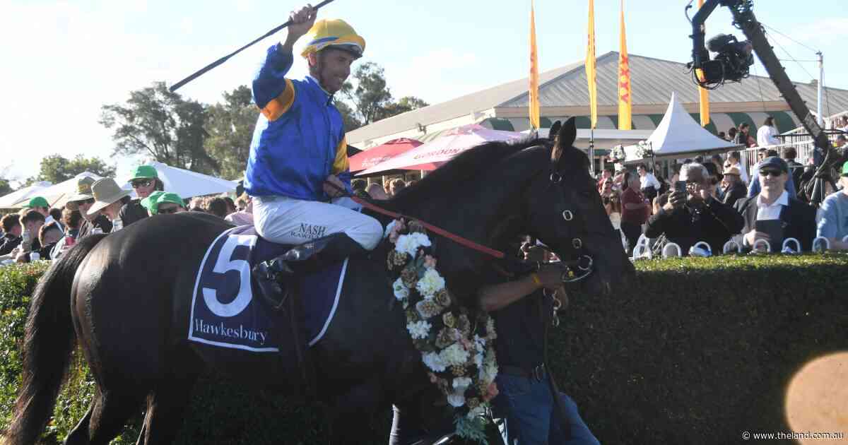Cup win for Punch Lane, a stakes first for stallion Dracarys | Tails