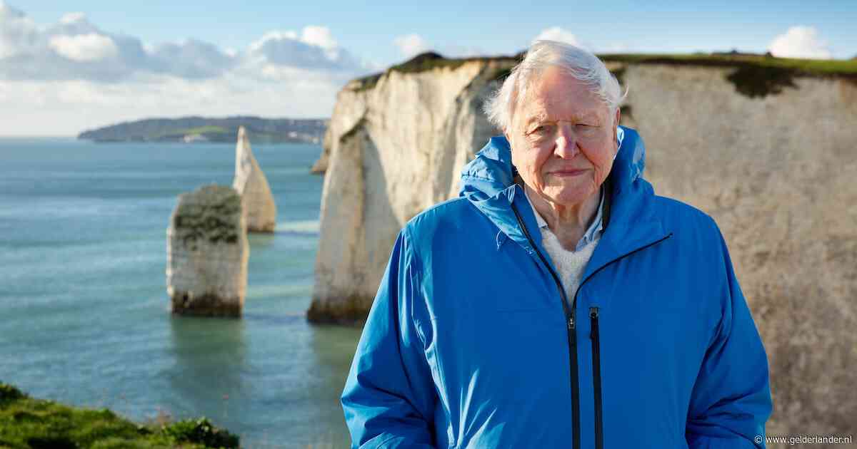 Één shot maakt duidelijk: Sir David Attenborough (99) heeft de hoop nog niet opgegeven