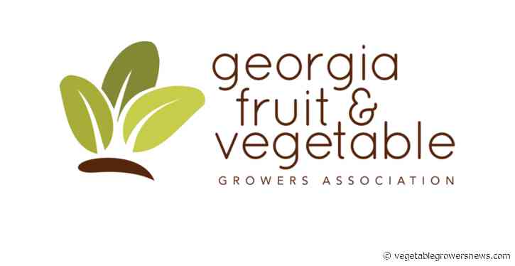 Georgia study examining non-fresh market fruit