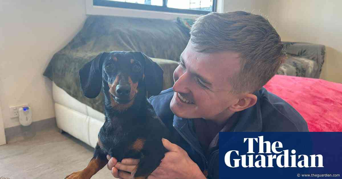 Valerie the dachshund is reunited with her owners after 529 days in the wilderness – video