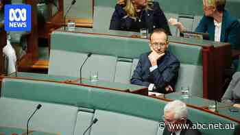 Greens leaderless after Adam Bandt defeated in Melbourne