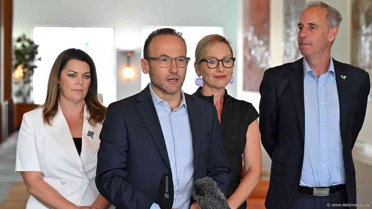 Adam Bandt election results and latest on Melbourne, Kooyong, Bradfield: Official verdict on Greens leader