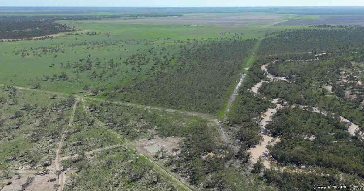 Exceptionally well-improved Narran River country with farming opportunity