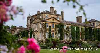 Wiltshire gardening expert shares tips for saving water