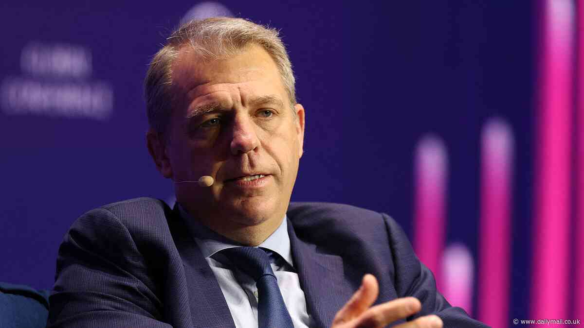 Chelsea may have to wait until 2042 for a new stadium, owner Todd Boehly admits, as board member breaks rank to suggest: 'I don't know if it's going to happen'