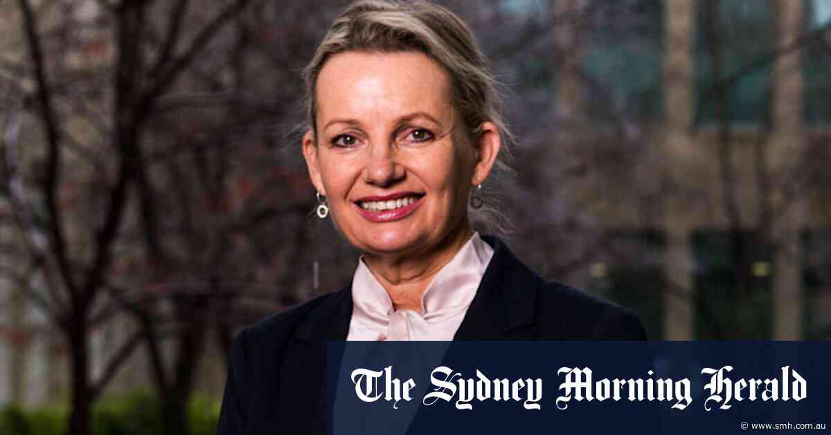 She went from punk rocker to pilot. Now Sussan Ley wants to be Liberal leader