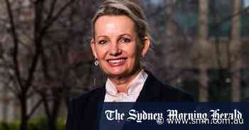 She went from punk rocker to pilot. Now Sussan Ley wants to be Liberal leader