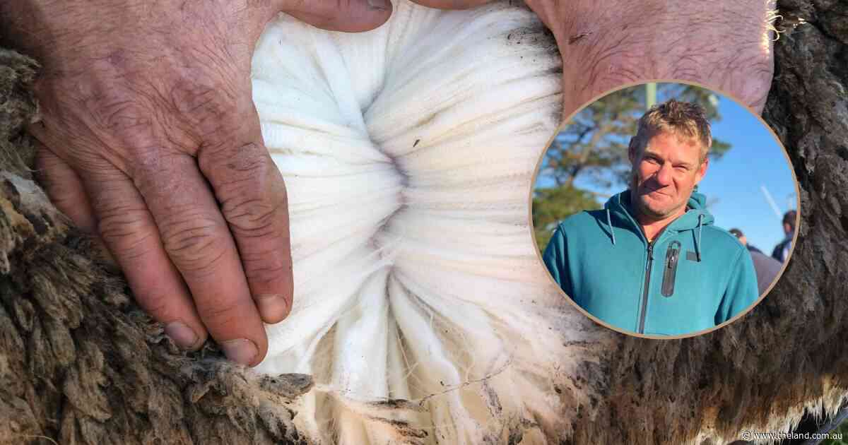 Shearer secures top honours at 95th annual Berridale Merino Ewe competition
