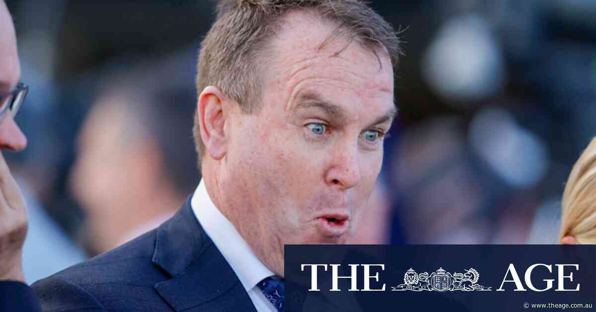 Pelosa poised to kick-start campaign for O’Shea at Wyong