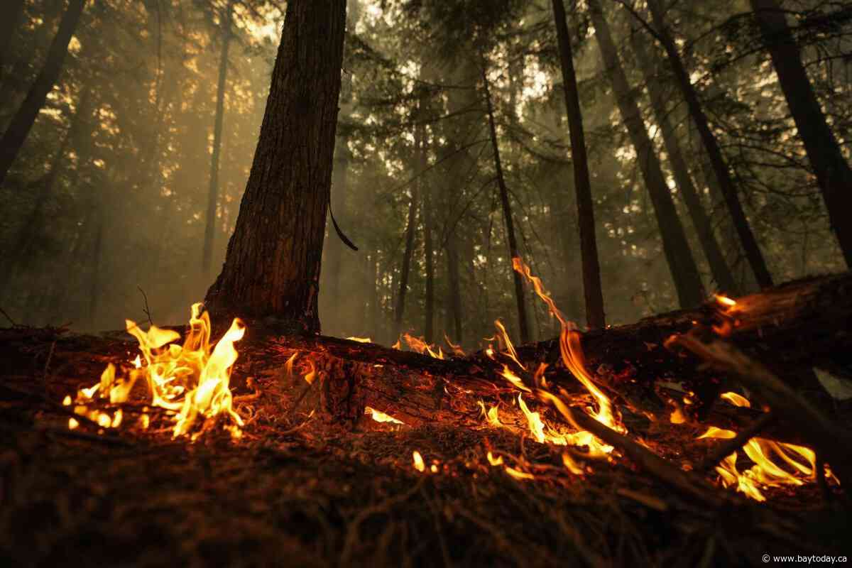 Planned burn could have killed trapped firefighters, says B.C. safety report