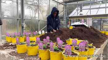 Tuinbouwleerlingen verkopen planten op Wandeldijk Linkeroever