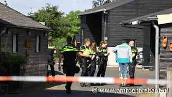 112-nieuws: Man met glas in gezicht geslagen tijdens stapavond • Ontsnapte lynx zit nog in de omgeving: 'Na een melding zoeken we direct'