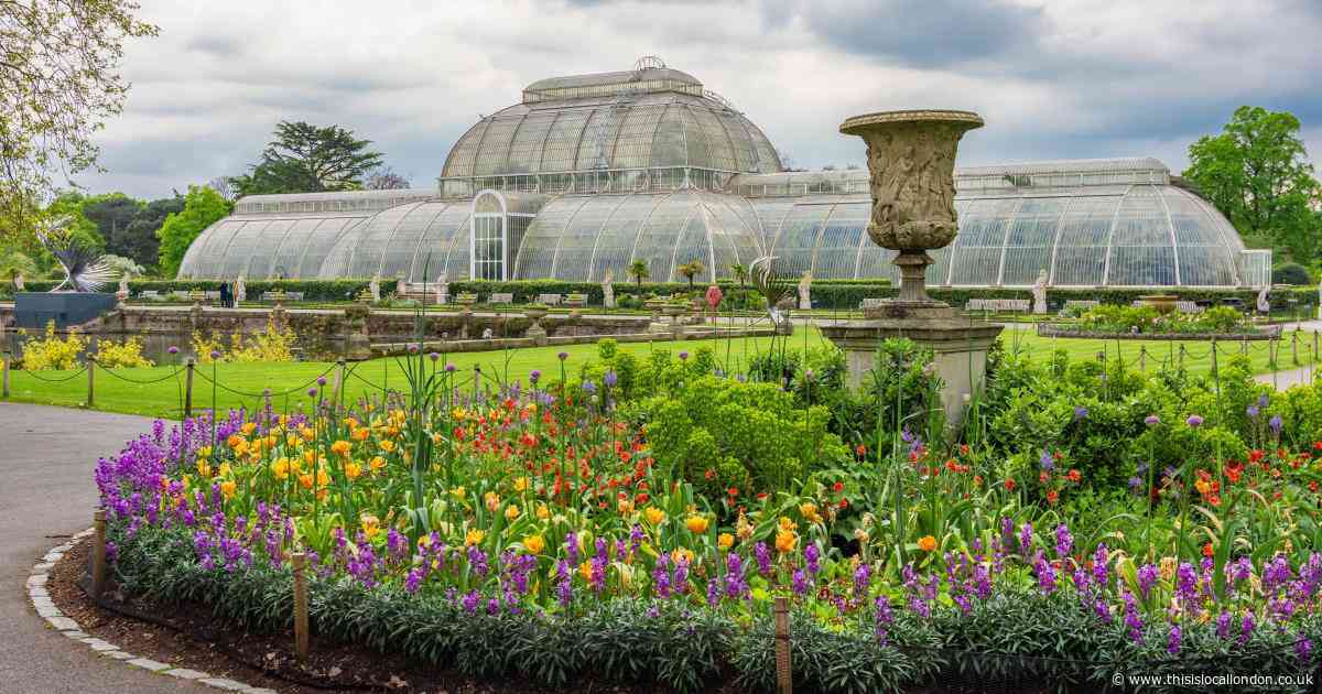 Save on a visit to London’s Kew Gardens and Kensington Palace